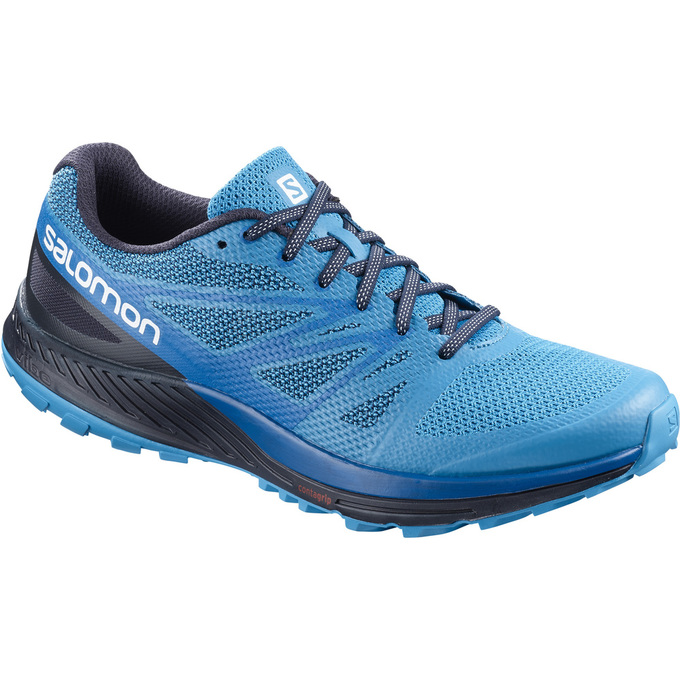 Zapatillas Trail Running Salomon Hombre Azules / Azul Marino - Salomon Argentina SENSE ESE ,382576-Z